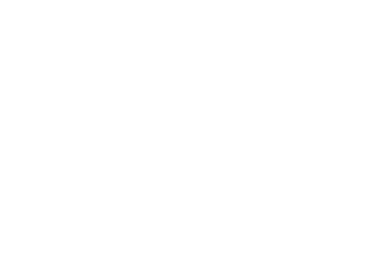CRAFT THE FUTURE